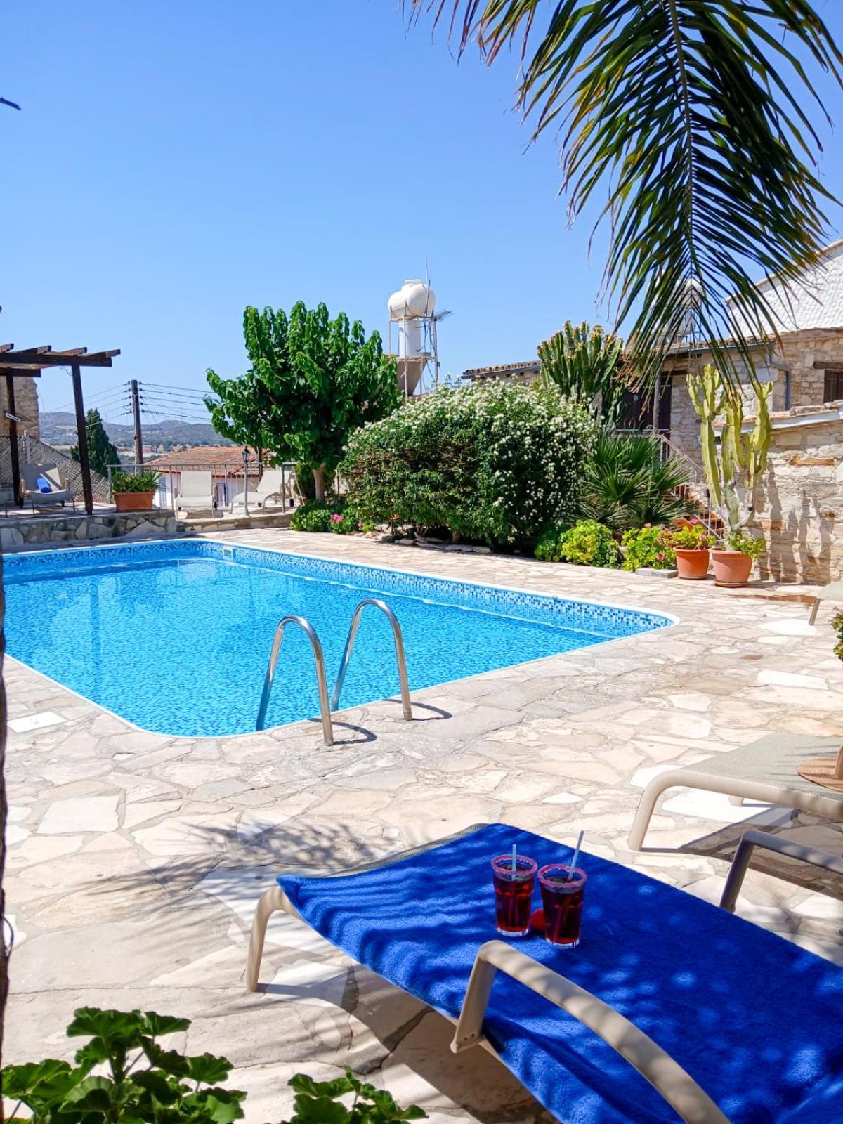 Athena'S Pool Oasis Apartment Skarinou Exterior photo